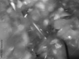 preview bw