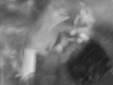 preview bw