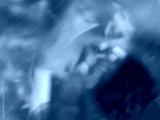 preview cold