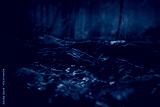 preview cold