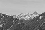 preview bw