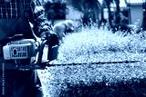 preview cold