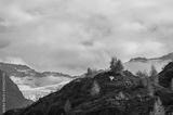 preview bw