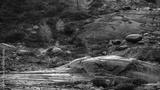 preview bw