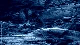 preview cold