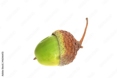 image to crop