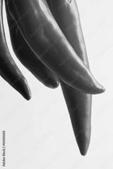 preview bw