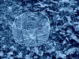 preview cold