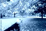 preview cold
