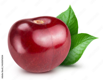 image to crop