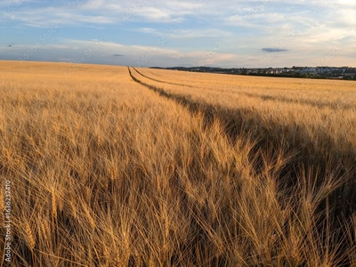 image to crop