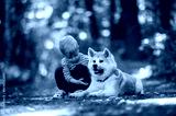 preview cold