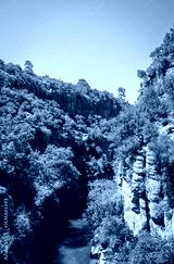 preview cold