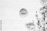 preview bw