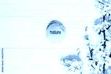preview cold