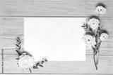 preview bw