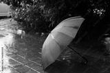 preview bw