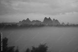 preview bw