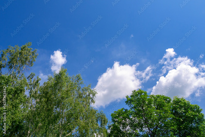 image to crop