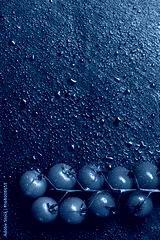 preview cold