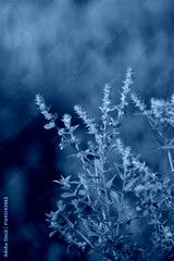 preview cold