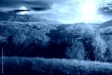 preview cold