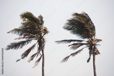 image to crop
