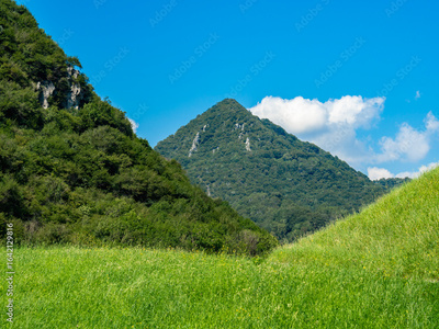image to crop