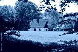 preview cold