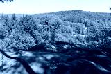 preview cold