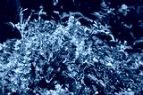 preview cold