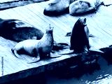 preview cold