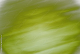 preview original