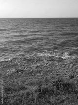 preview bw