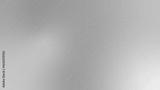 preview bw