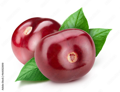 image to crop