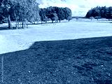 preview cold