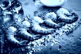 preview cold