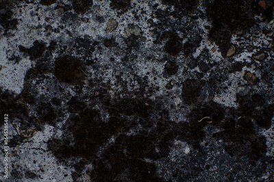 image to crop