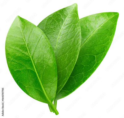 image to crop