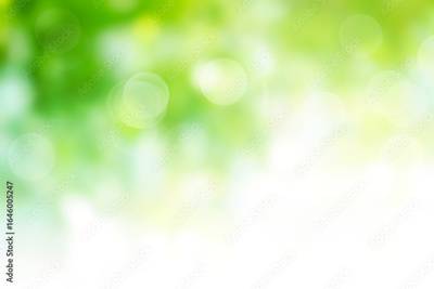 image to crop