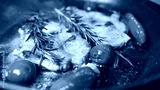 preview cold