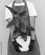 preview bw