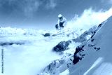 preview cold