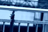 preview cold