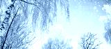 preview cold