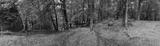 preview bw