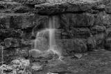 preview bw