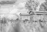 preview bw