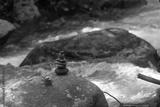 preview bw